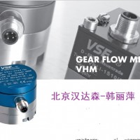 VSE  VHM系列VHM 02–1流量計