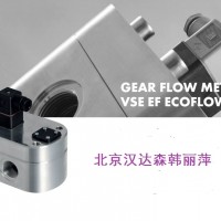 VSE EF系列流量計