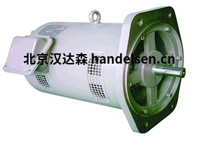 CEMA電機(jī) 型號(hào):YP-50-1.5-4-B5 CEMA電機(jī)1