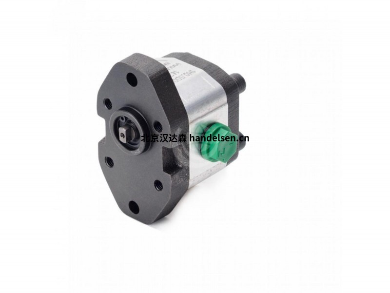Roquet 0.5 M MO 系列齒輪泵和電機(jī) Roquet 0.5 M MO 系列齒輪泵和電機(jī)