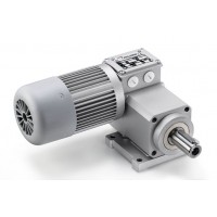 Mini Motor 齒輪電機(jī)產(chǎn)品型號介紹