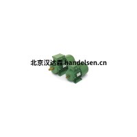 OEMER交流三相永磁同步電機(jī)97L015B 160L產(chǎn)品介紹