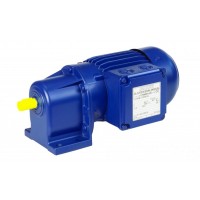 德國(guó) Bauer Gear Motor BG系列斜齒輪減速電機(jī)