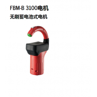 德國(guó)FLUX無刷儲(chǔ)電式電機(jī)FBM-B 3100