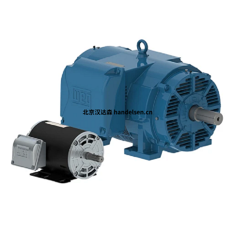 Watt電機(jī)