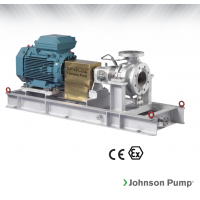 Johnson Pump 重型流程泵，適合化工、煉油廠和一般工業(yè)應(yīng)用