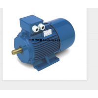 意大利 OEMER 異步電機(jī) MTES3 系列：高效驅(qū)動(dòng)，賦能工業(yè)新動(dòng)能
